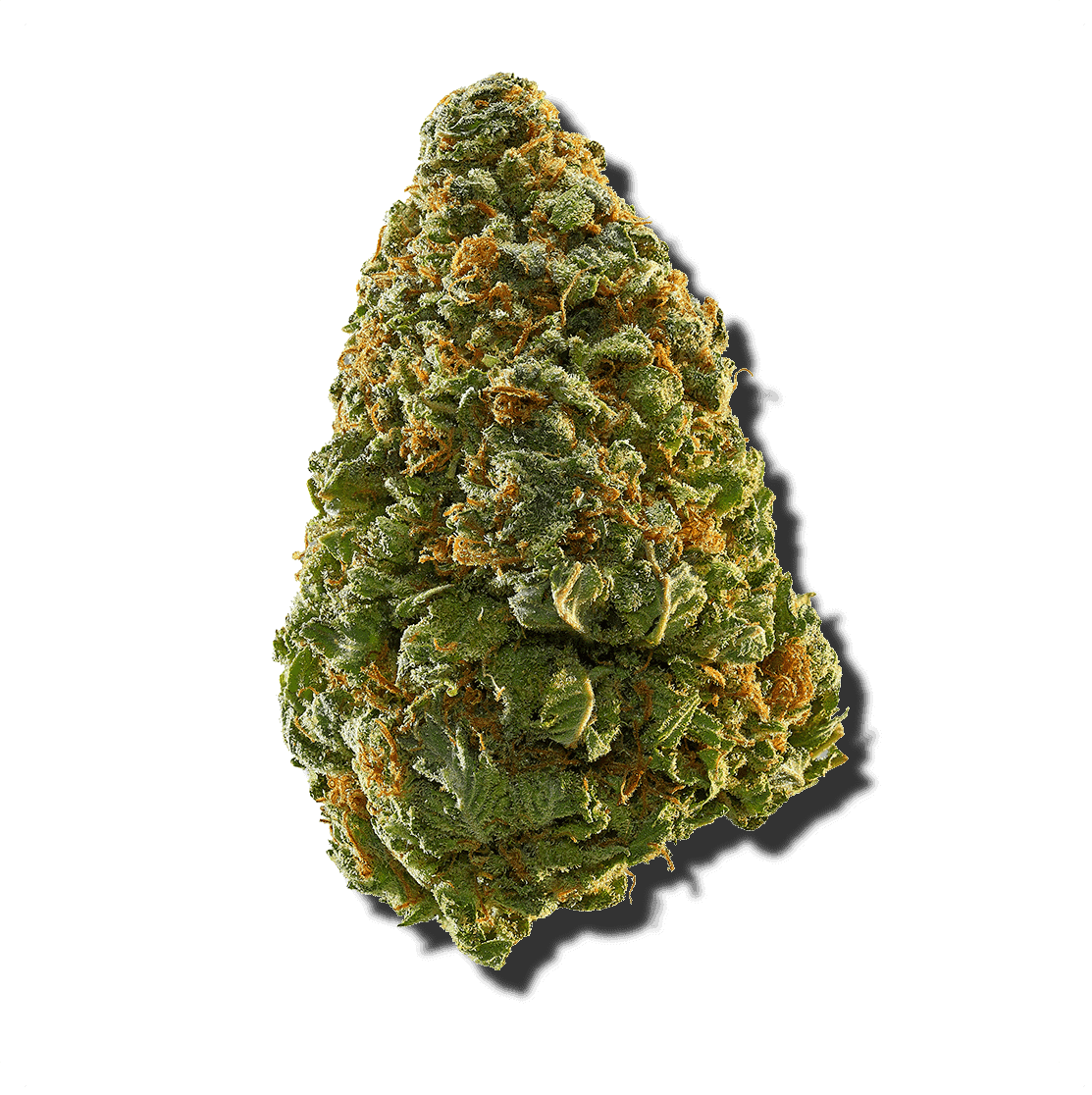 Featured image for “Gods Green Crack (CGC)”